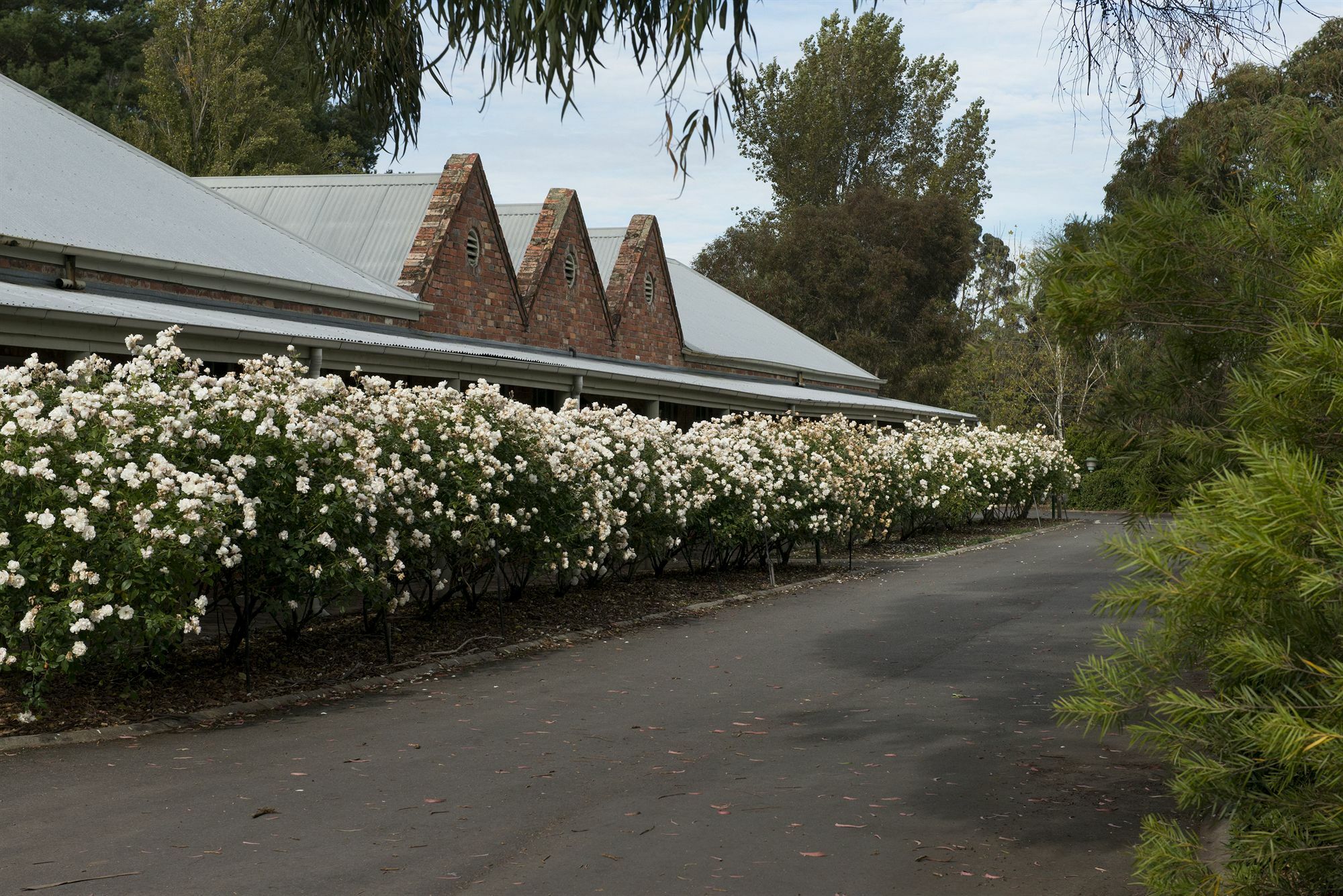 Mercure Ballarat Hotel&Convention Centre Exteriör bild